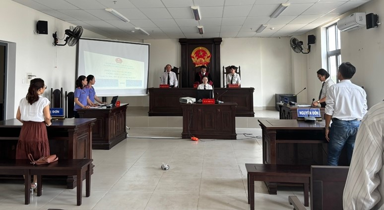 Khi nào bị coi là mất năng lực hành vi dân sự?