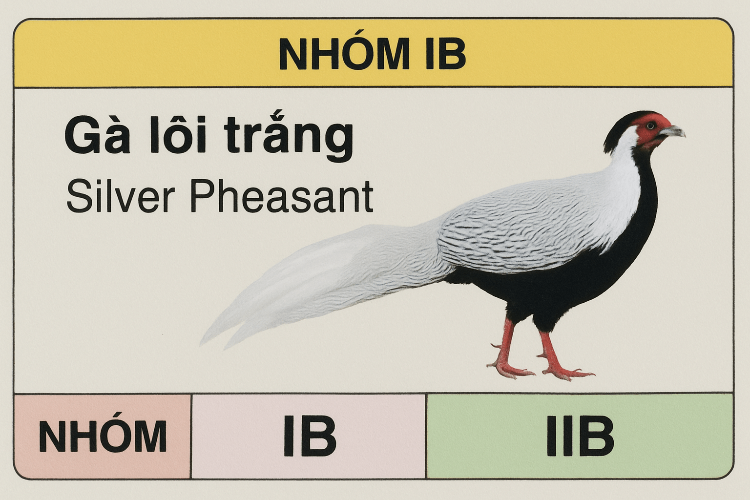 Gà lôi trắng thuộc nhóm IB hay IIB?