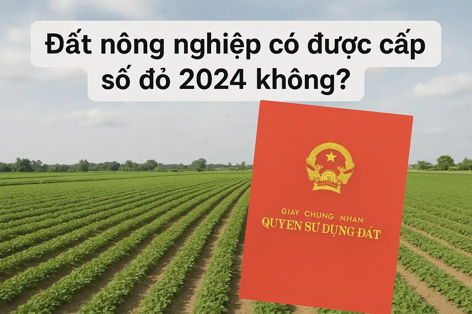 Đất nông nghiệp có được cấp sổ đỏ 2024 không?