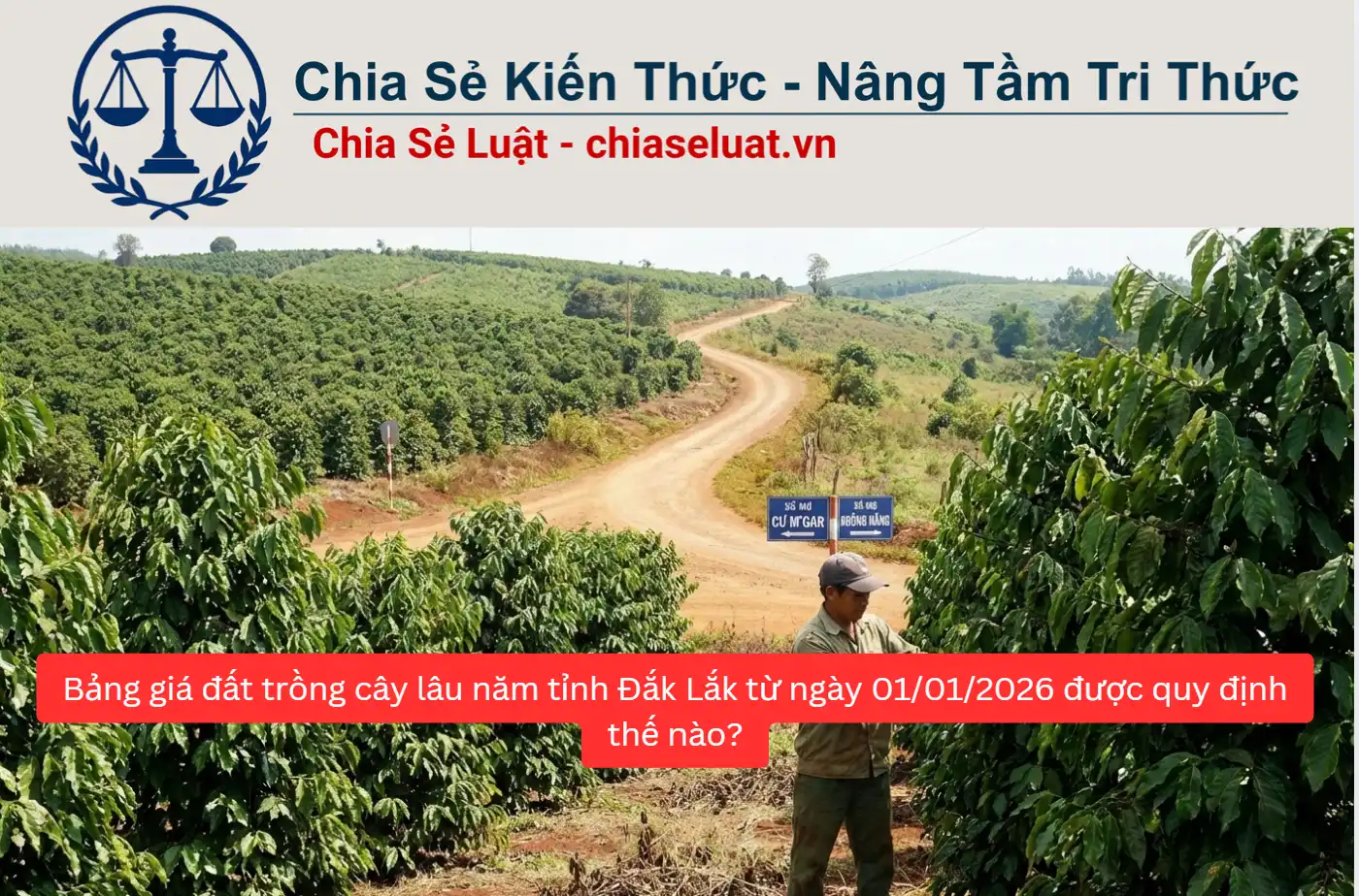 Bảng giá đất trồng cây lâu năm tỉnh Đắk Lắk từ ngày 01/01/2026 được quy định thế nào?