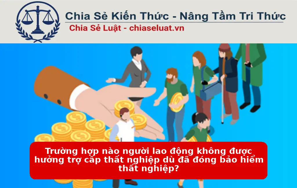 Trường hợp nào người lao động không được hưởng trợ cấp thất nghiệp dù đã đóng bảo hiểm thất nghiệp?