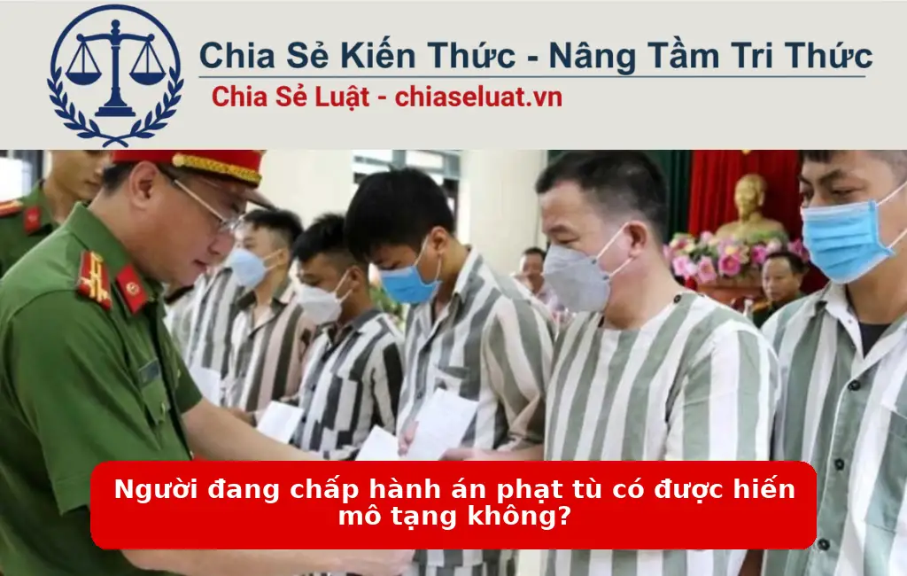 Người đang chấp hành án phạt tù có được hiến mô tạng không?